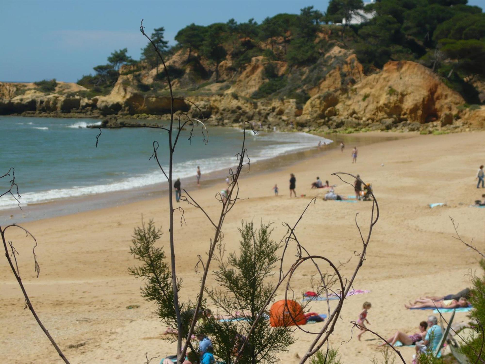 Agua Marinha Rosa- Hotel Albufeira Zewnętrze zdjęcie